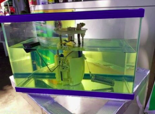 WhatsApp Image 2025-07-31 at 9.08.48 AM (2)