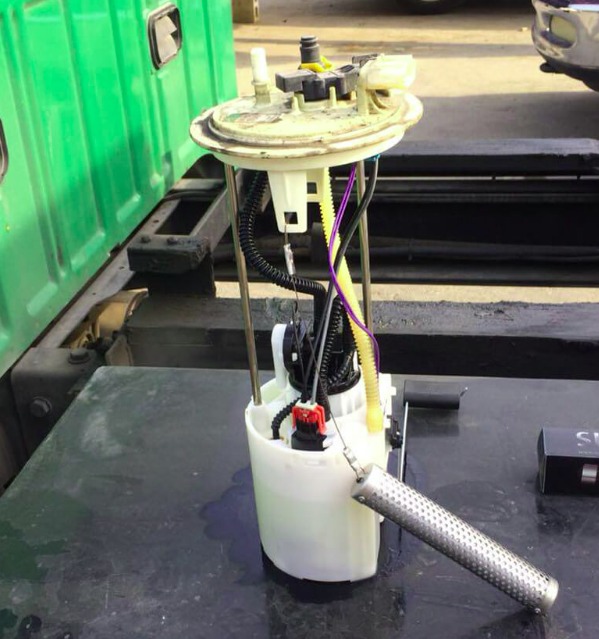 WhatsApp Image 2025-07-31 at 9.08.48 AM